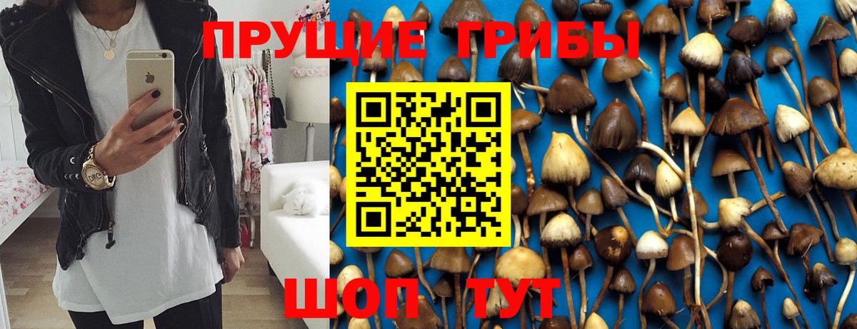 Псилоцибиновые грибы Psilocybine cubensis  Галлюциногенные грибы мицелий  Воскресенск  Вход с VPN 